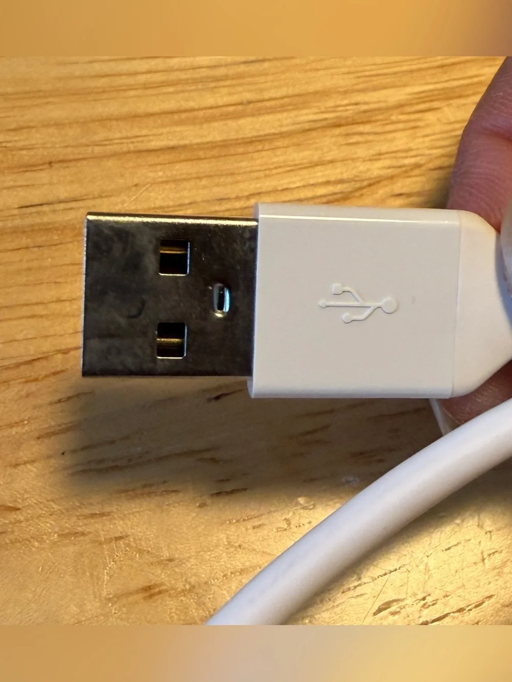 USB A to Lightning Cable 6ft